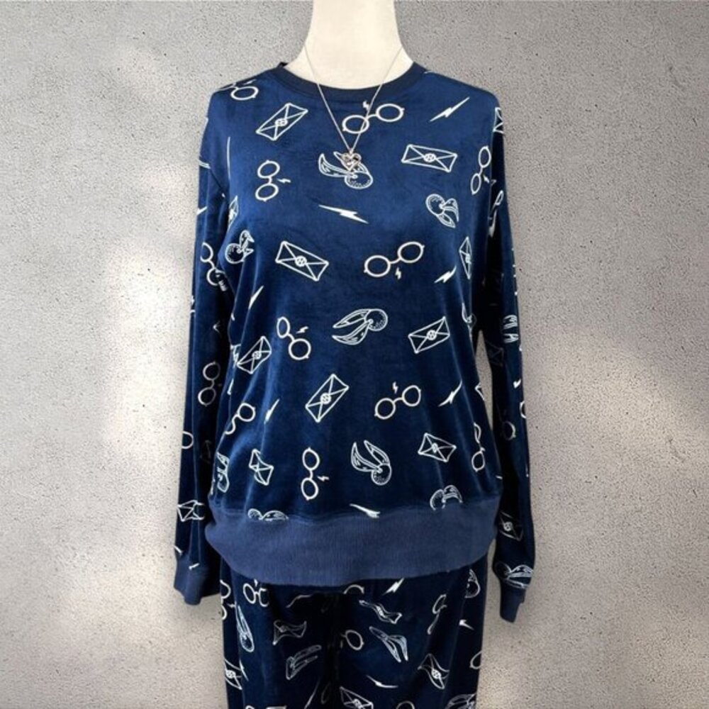 Harry Potter Pajama Set Women’s Small Blue Soft Fleece Cozy Lounge Nerdy 2-Piece